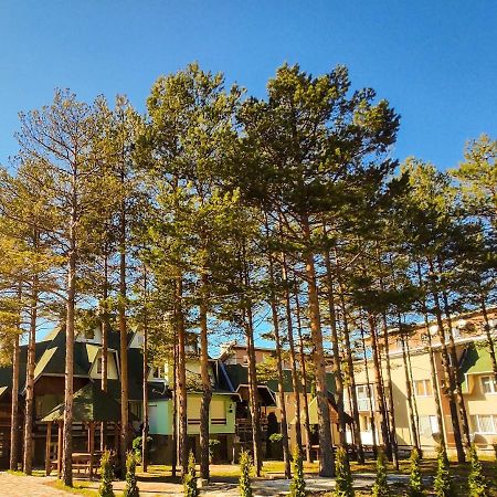 Apartament Bonami Divčibare Zewnętrze zdjęcie